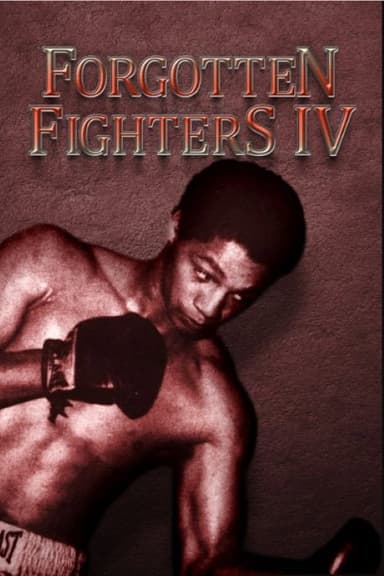 Forgotten Fighters IV poster