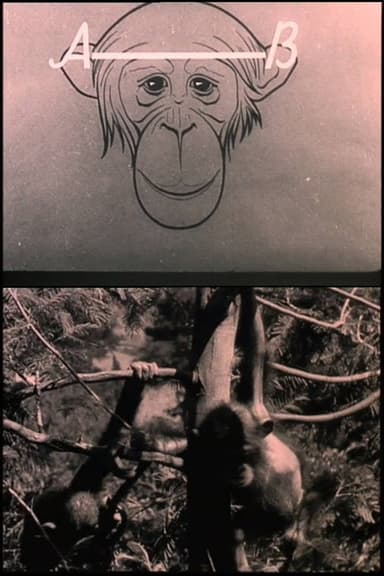 The Man and the Monkey poster
