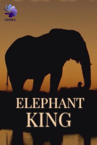 Elephant King poster