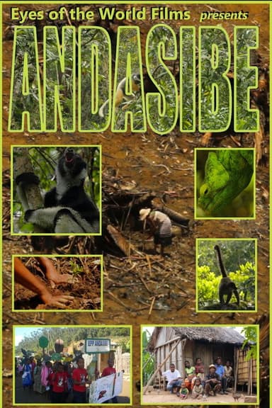 Andasibe poster