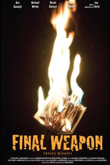 Final Weapon poster