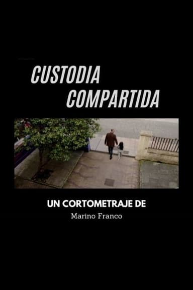 Custodia compartida poster