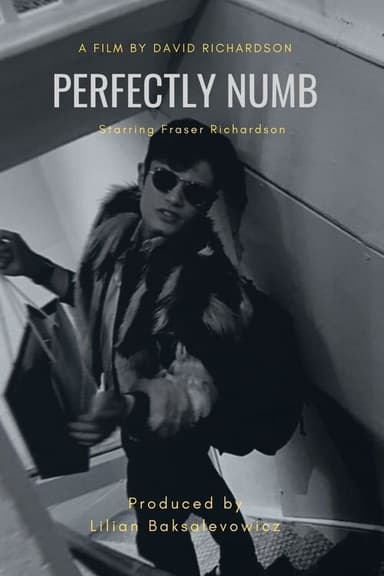 Perfectly Numb poster