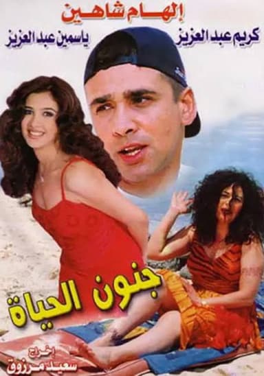 Madness of Life poster