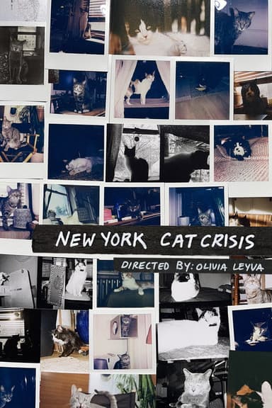 New York Cat Crisis poster