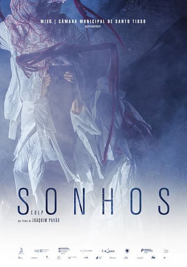 Entre Sonhos poster