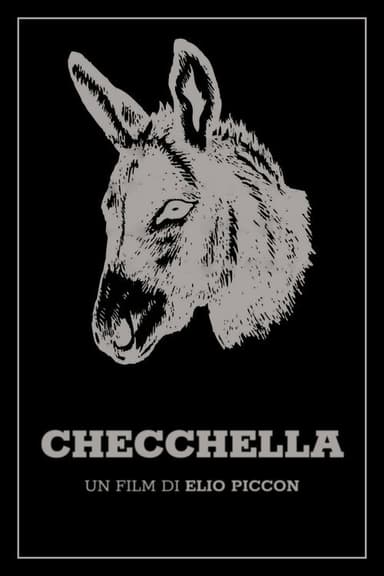 Checchella poster