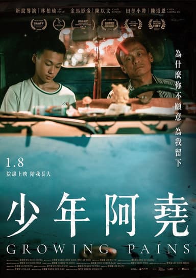 Growing Pains poster