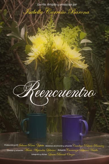Reencuentro poster
