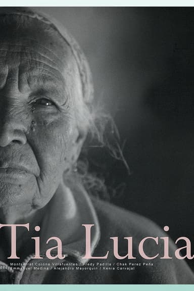 Aunt Lucía poster