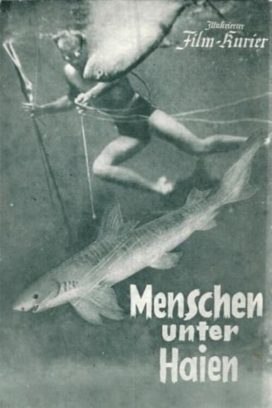 People Among Sharks poster