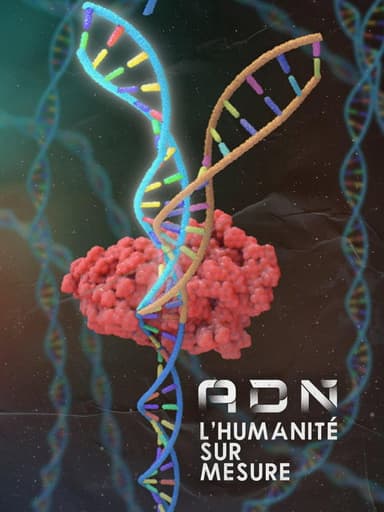 DNA: Custom Humanity poster