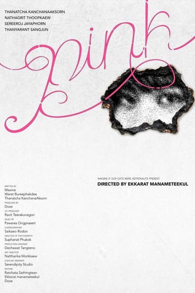 PINK poster
