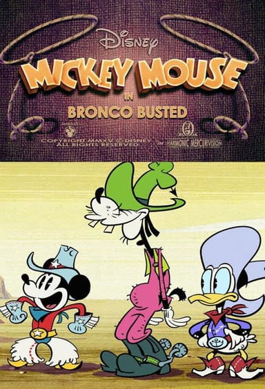 Bronco Busted poster