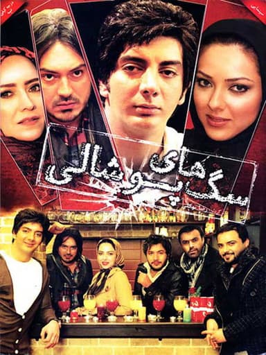 Saghaye Pooshali poster