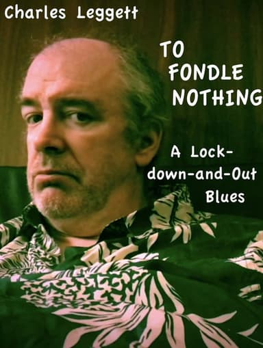 To fondle nothing poster