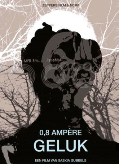 0.8 Amps of Happiness poster