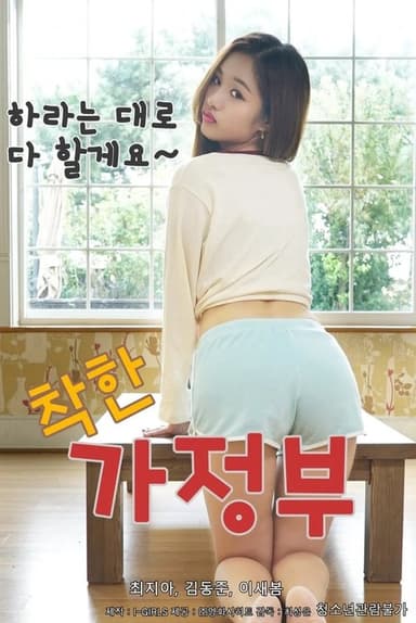 A Nice Housekeeper poster