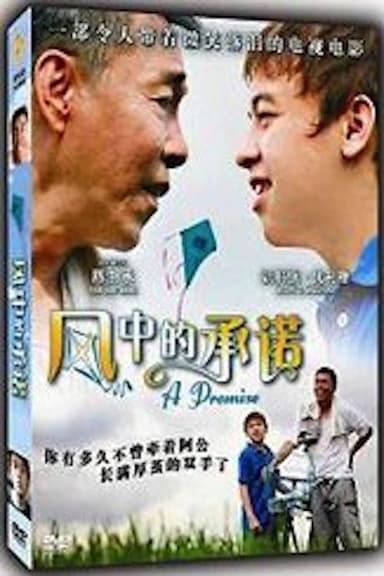 A Promise poster