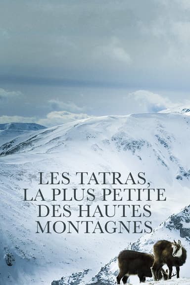 Die Hohe Tatra - Leben am Abgrund poster
