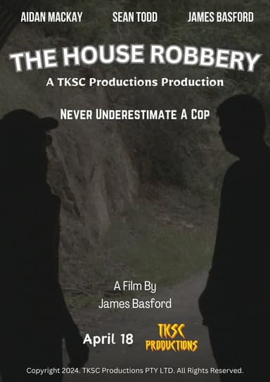 The House Robbery poster