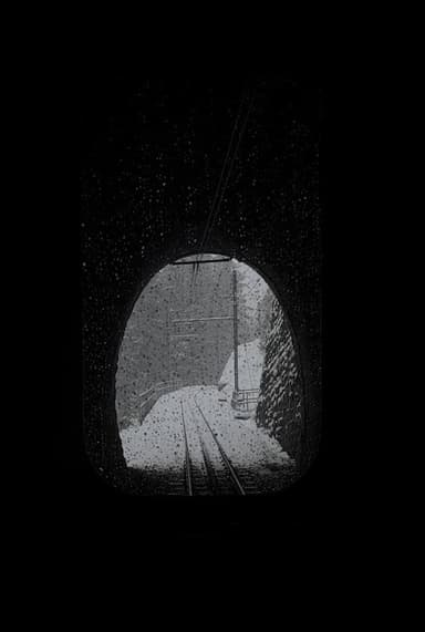 Snowy Train poster