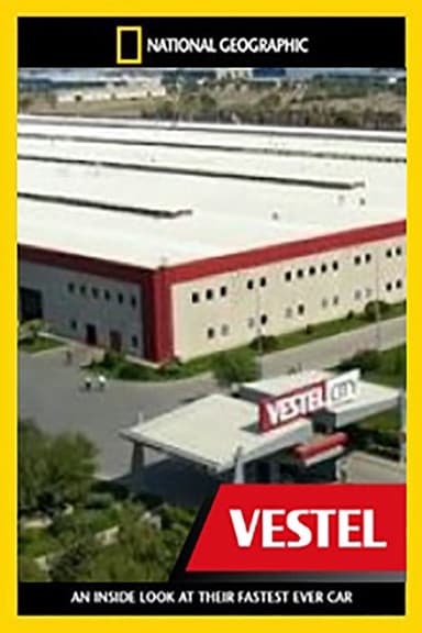 Megafactories: Vestel City poster