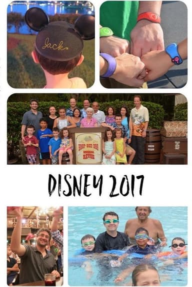 Disney 2017 poster