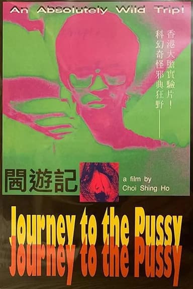 Journey to the Pussy poster