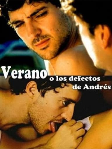 Summer or The Flaws of Andrés poster