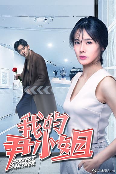 Perfect Partner poster