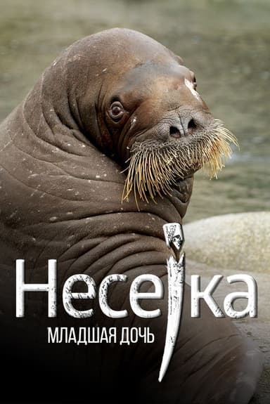 Neseyka: The Youngest Daughter poster
