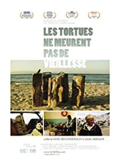 Turtles Do Not Die of Old Age poster