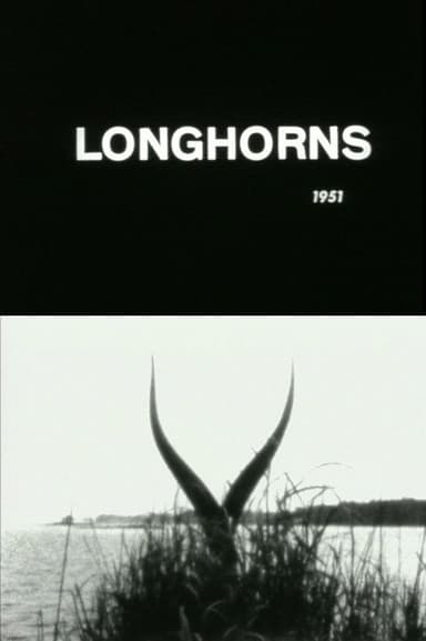 Longhorns poster