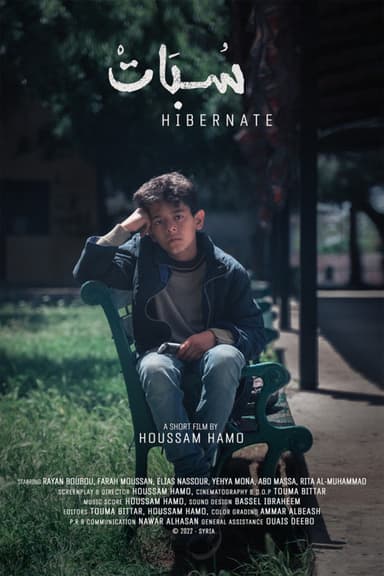 Hibernate poster