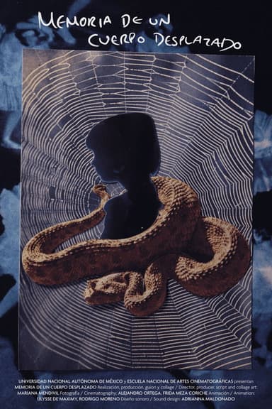Memory of a Displaced Body poster