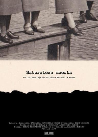 Naturaleza muerta poster