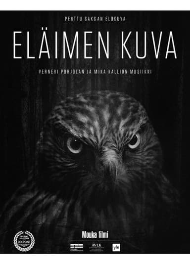 Animal Image poster