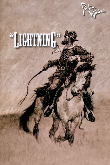 Picture Windows: Lightning poster