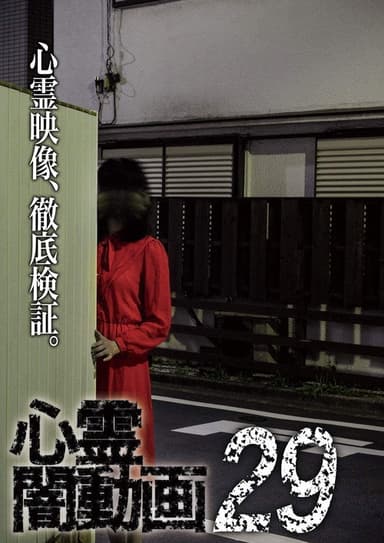 Psychic Darkness Video 29 poster