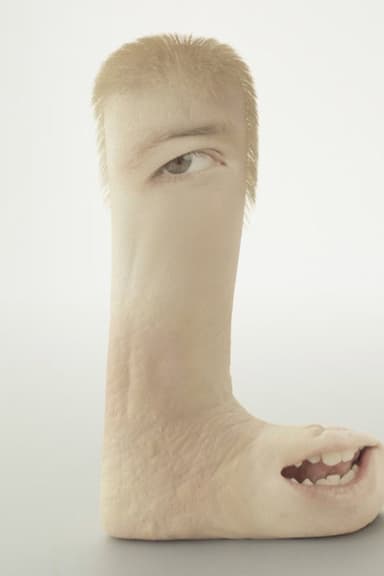 Human Flesh poster