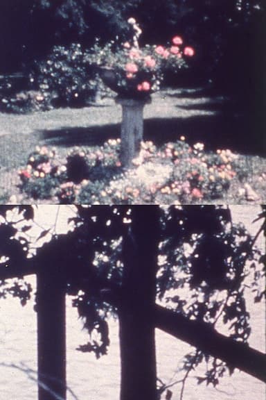 A Reticule of Love poster