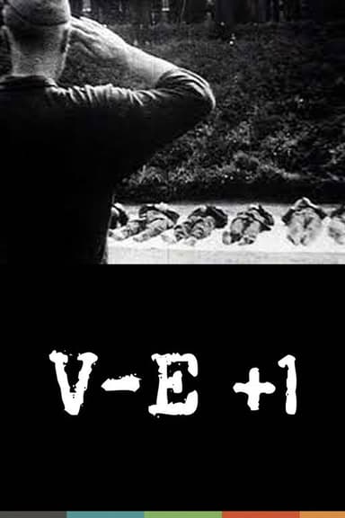 V-E +1 poster