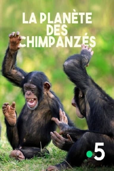 La planète des chimpanzés poster