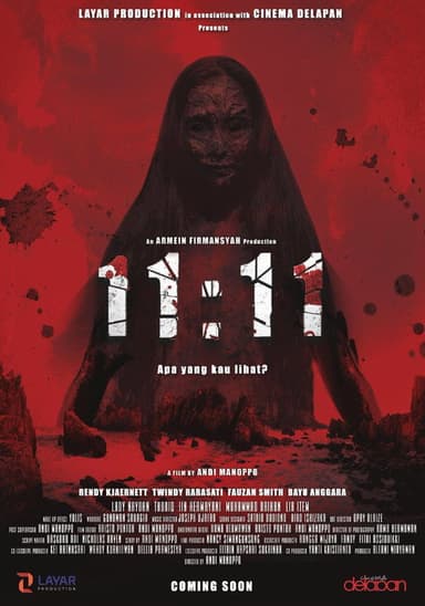 11:11: What Did You See? poster