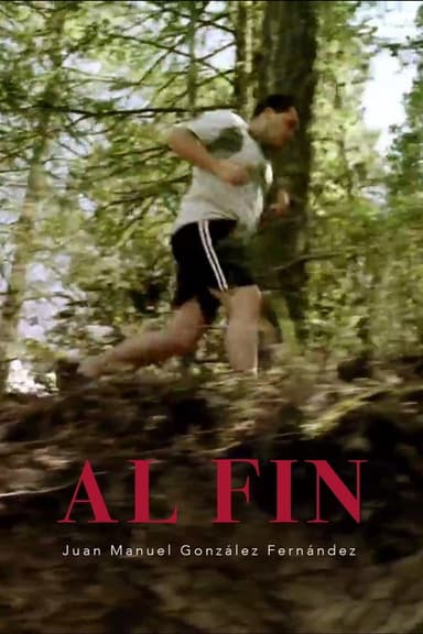 Al Fin poster