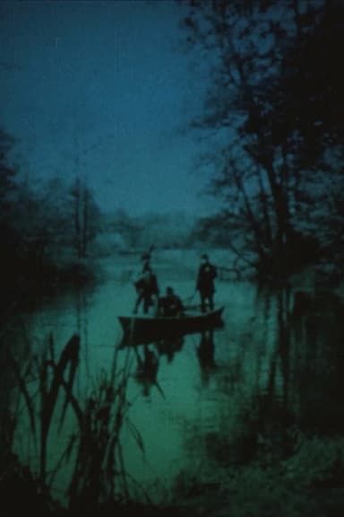 Videokaseta poster