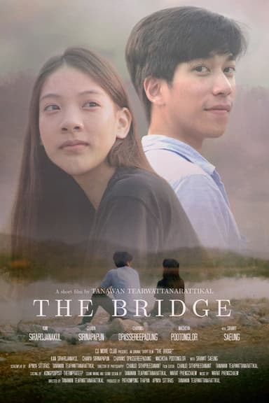 The Bridge poster