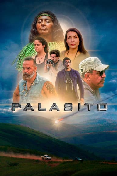 Pallasite poster