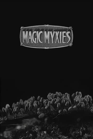 Magic Myxies poster